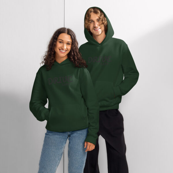 drive safe hoodie – road safety awareness hoodie for drivers & car lovers